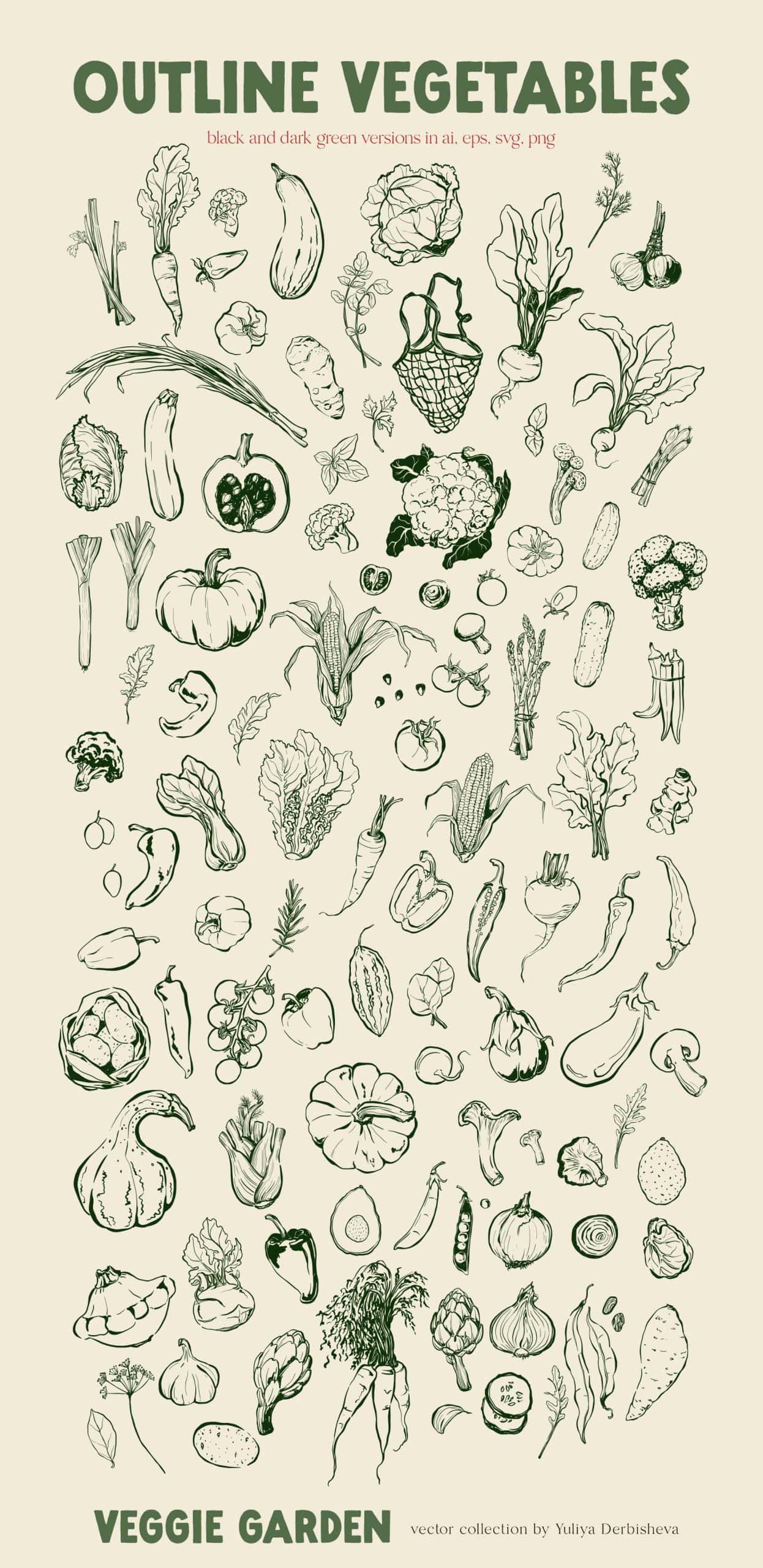 Veggie Garden – Hand-Drawn Vegetables Vector Illustrations, Patterns & Posters - Image 8