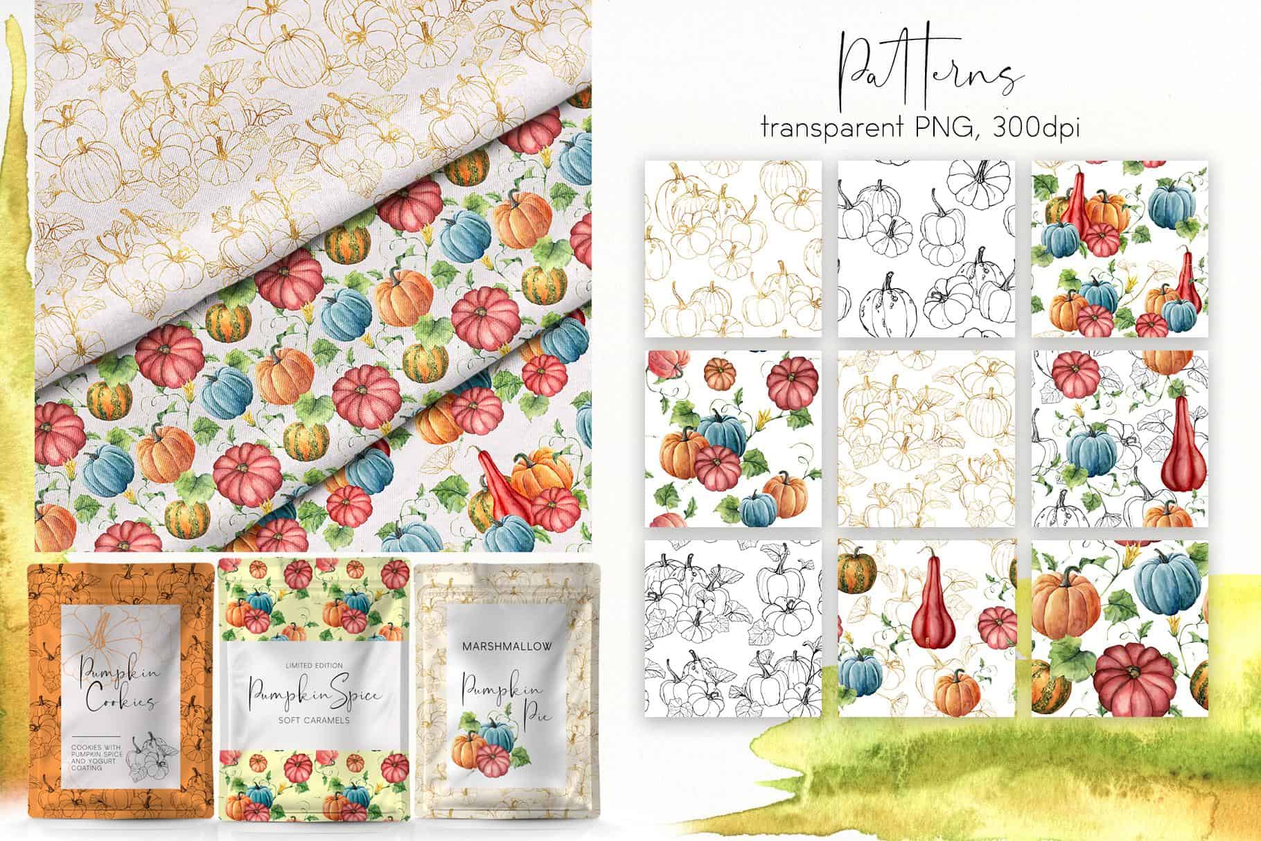 Pumpkins Watercolor & Line Art Illustrations - Image 9