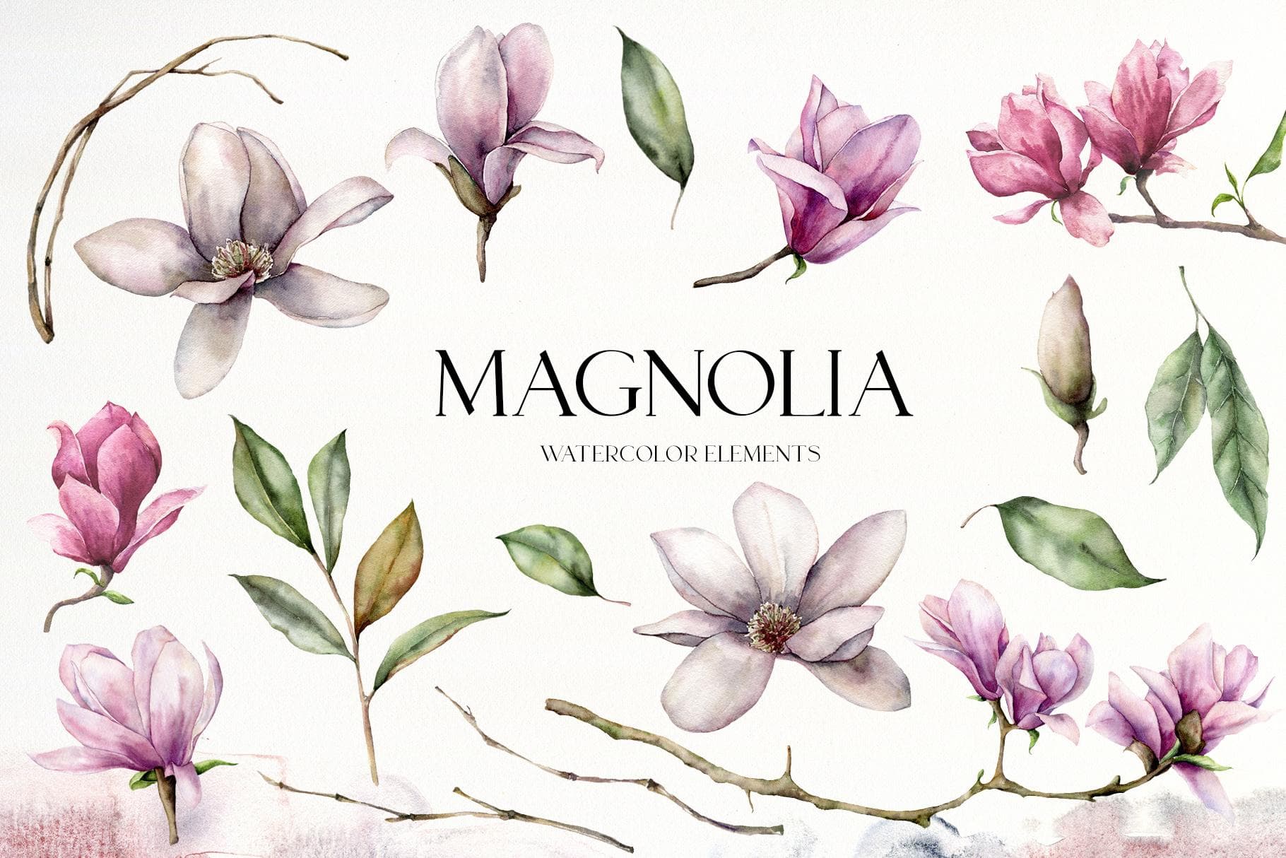 Magnolia Blossom Flower Watercolor Illustrations - Image 9