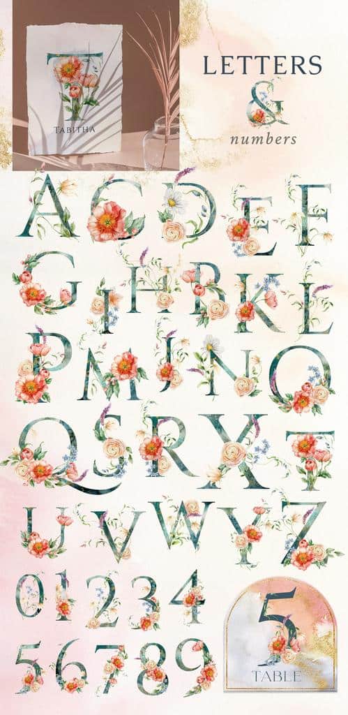 Peachy meadow watercolor wildflower illustrations - Image 9