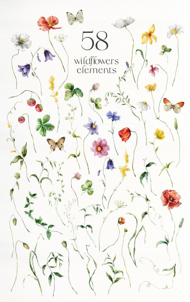 Wildflower poetry watercolor wild flowers illustrations - Image 10