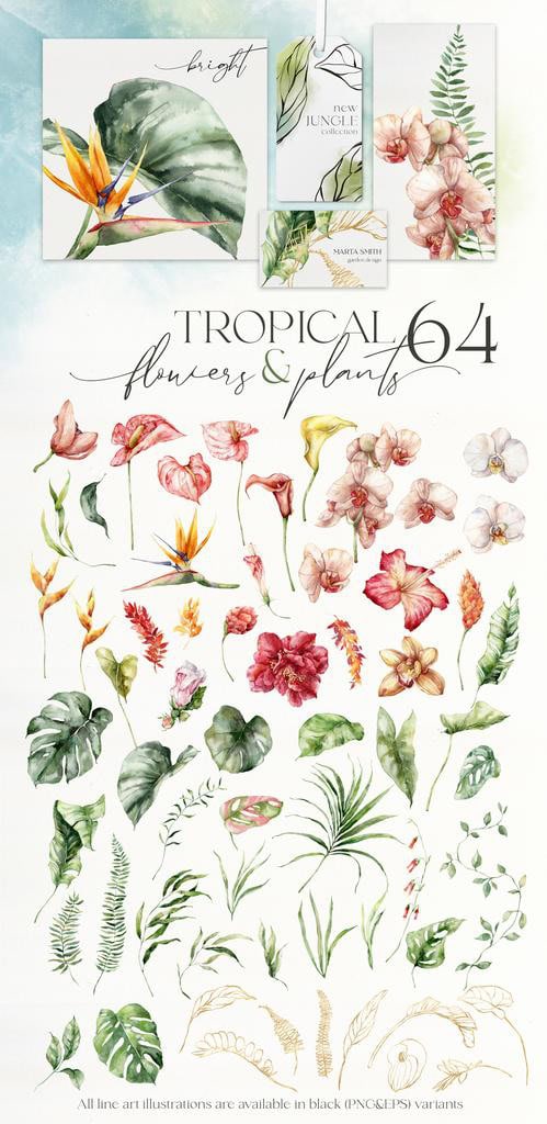Tropical island watercolor jungle flowers and foliage illustrations - Image 11