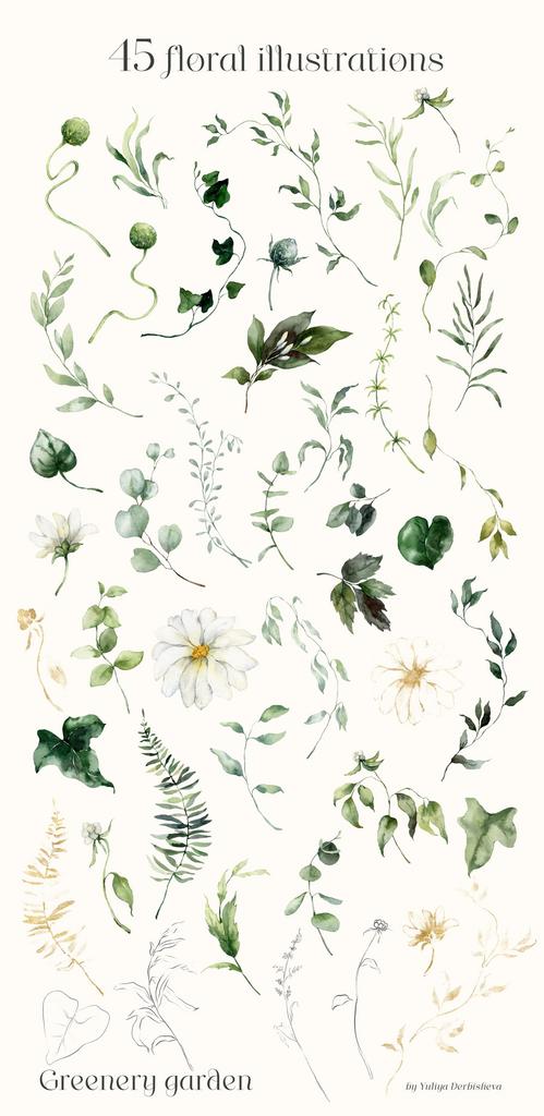 Greenery garden watercolor foliage illustrations clipart - Image 12