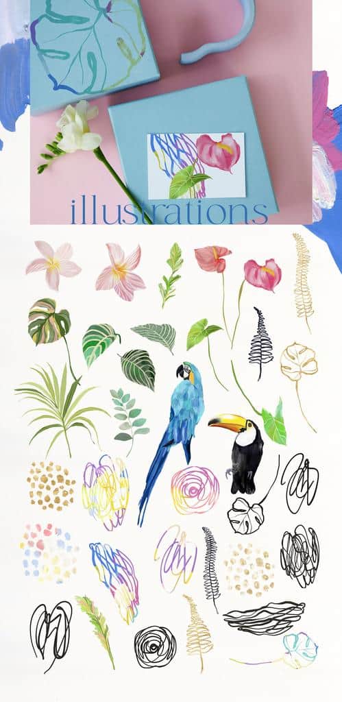 La Costa bright summer backgrounds + tropical birds - Image 13