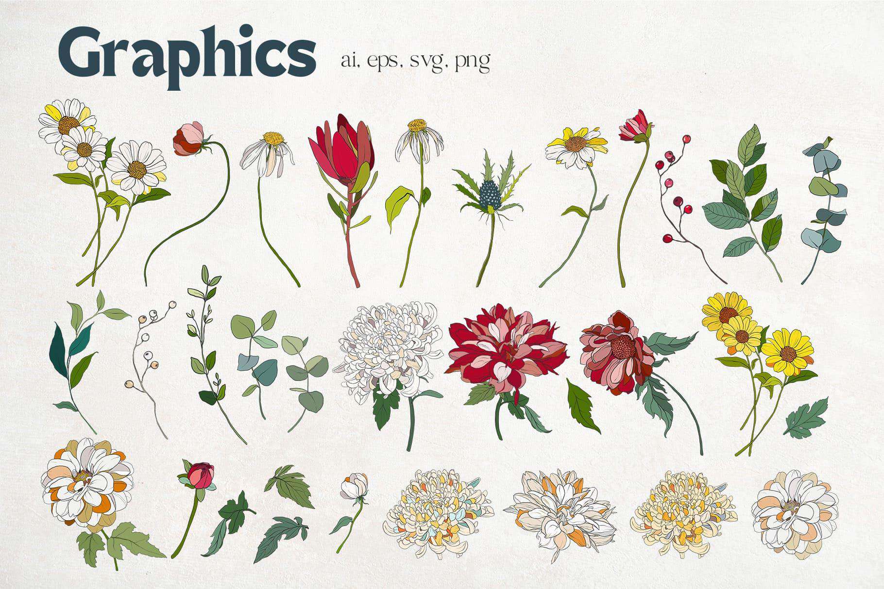 Casablanca Vector Flowers, Posters & Patterns - Image 14