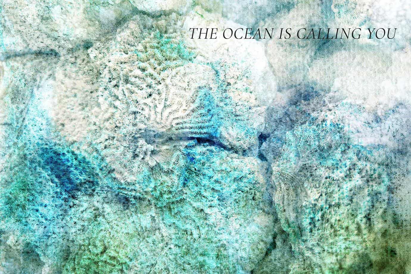 Through the Deep – Mixed Media Ocean backgrounds & marine graphics - Image 15