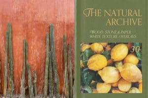 Book cover titled 'The Natural Archive' with cacti and lemons on the cover.