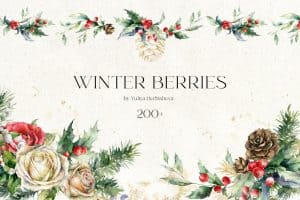 Watercolor winter berries and pinecones for Christmas holiday design.