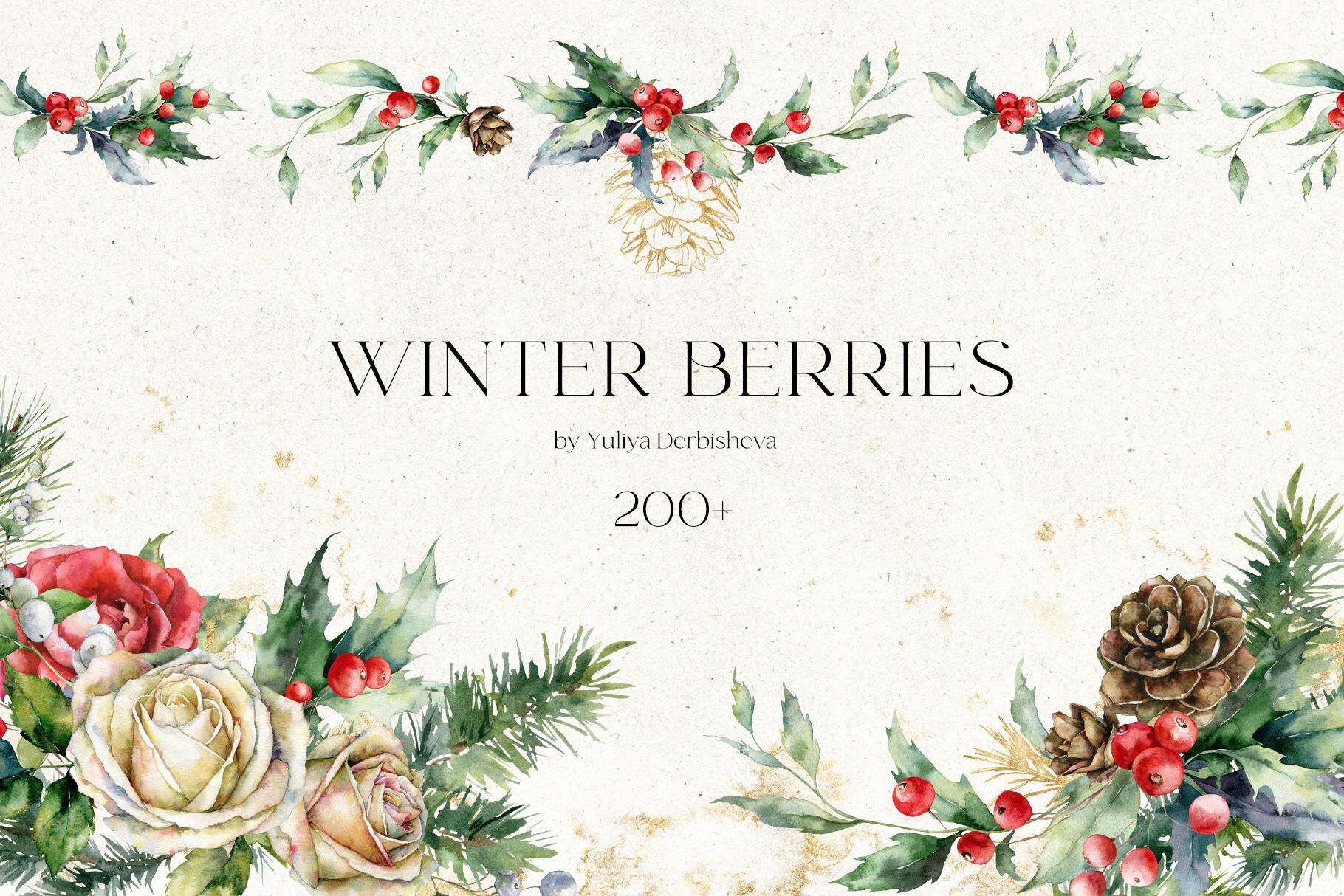 Watercolor winter berries and pinecones for Christmas holiday design.