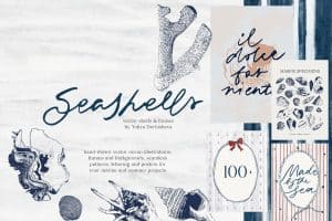 Seashells and marine life illustrations for ocean-themed projects by Yuliya Derbisheva.