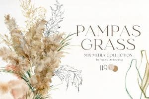 Watercolor illustration of pampas grass with botanical design elements.