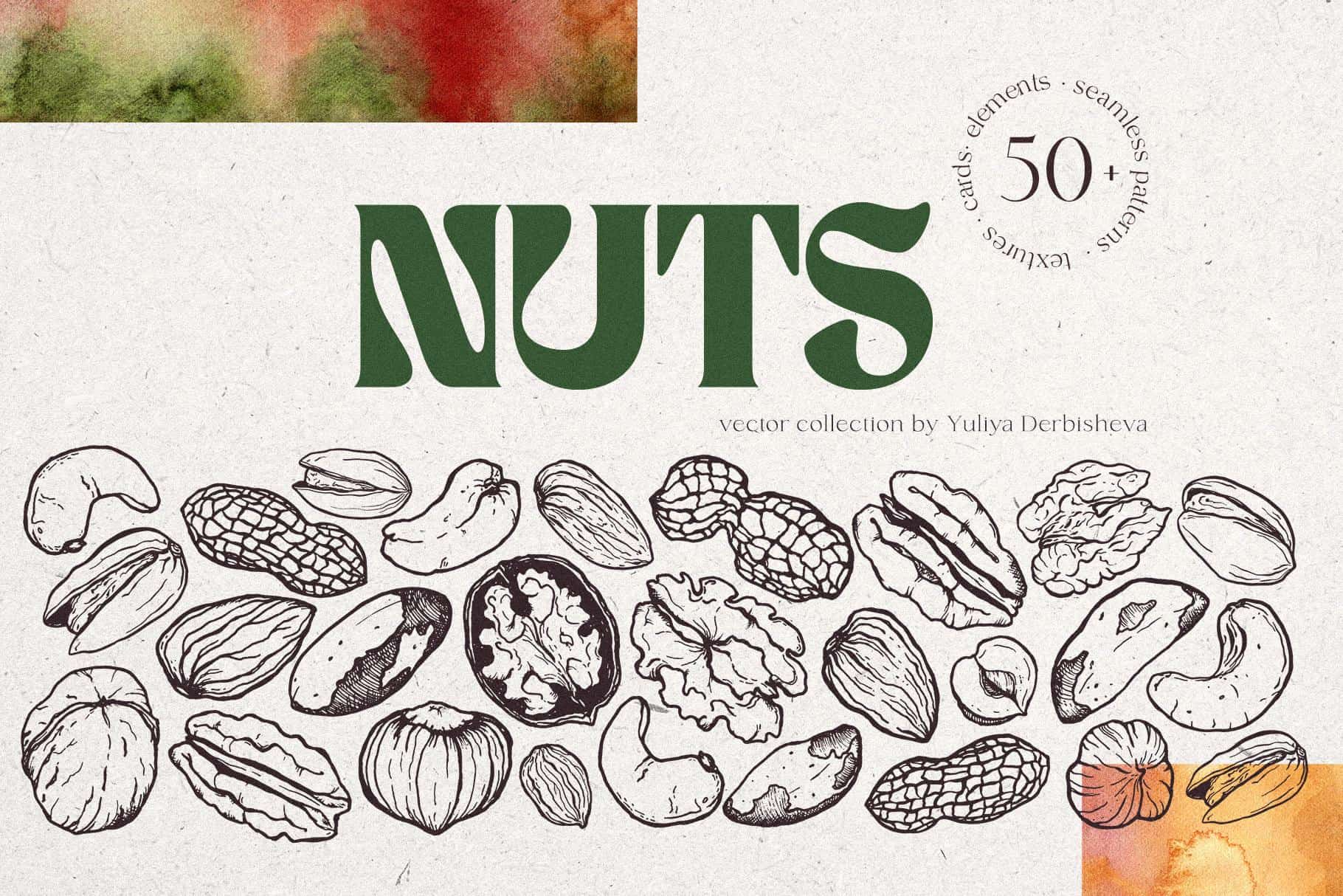 Collection of detailed nut illustrations for texture and pattern design.