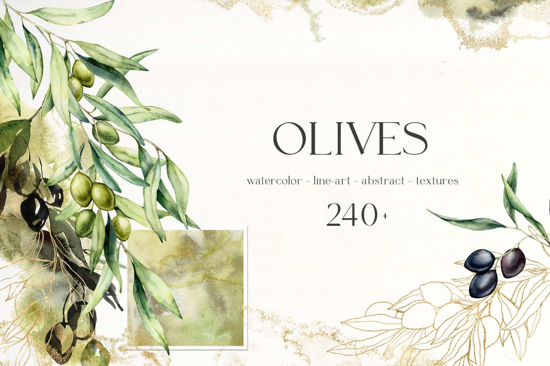 Watercolor illustration of olive branches with green and black olives.