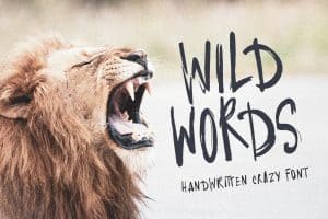 Wild Words handwritten font with a roaring lion image for wild and quirky design.