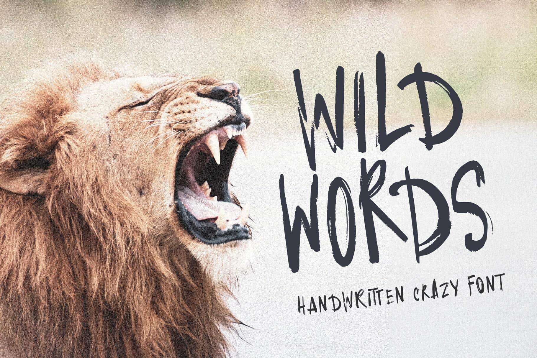 Wild Words handwritten font with a roaring lion image for wild and quirky design.