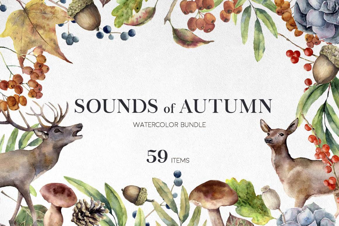 Autumn watercolor collection with deer and foliage for Sounds of Autumn.