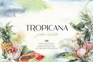 Watercolor tropical flowers, leaves, and fruits illustration for Tropicana collection.