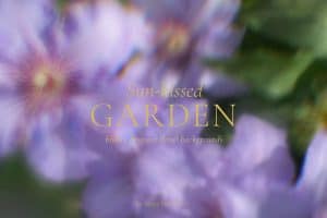 Sun-kissed garden with blurry purple flowers and green foliage.