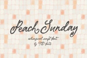 Peach Sunday handwritten script font for wedding invitations and feminine branding