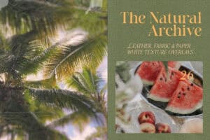 The Natural Archive — 26 white texture overlays collection cover, fabric, paper and leather PNG pack