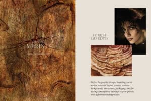 Forest Imprints Organic watercolor backgrounds textures abstract for design 02 Wood bark watercolor abstract hand painted texture background