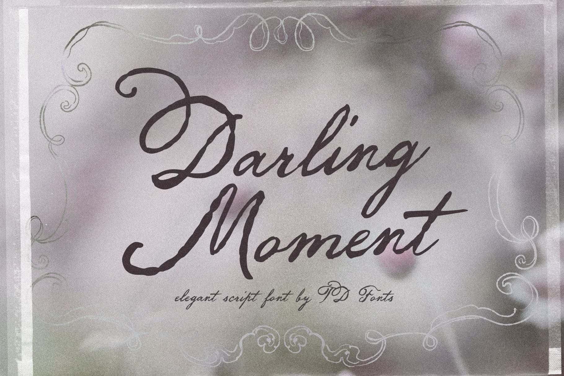 Darling Moment vintage elegant script font with hand-drawn swirl frame on soft grey background