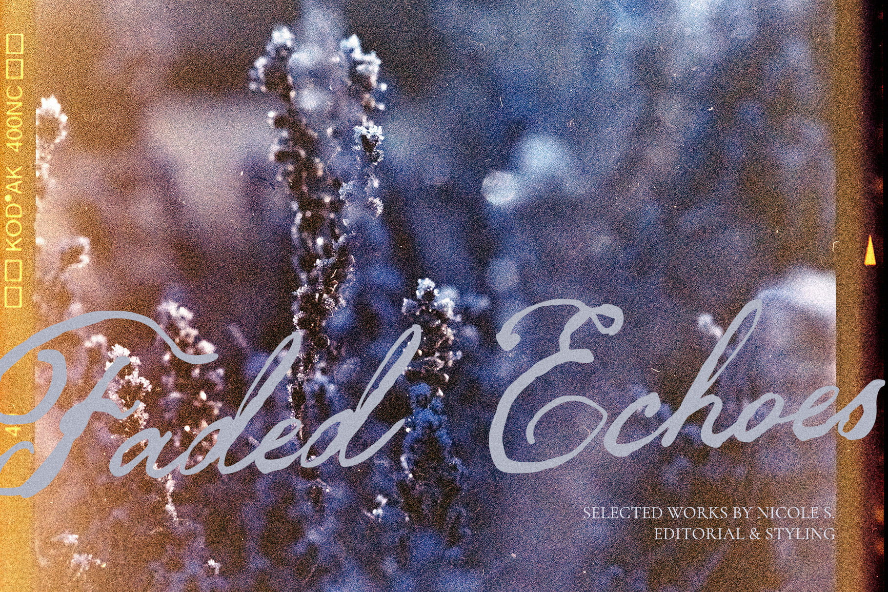 Darling Moment font used as editorial title text on a film photography portfolio cover