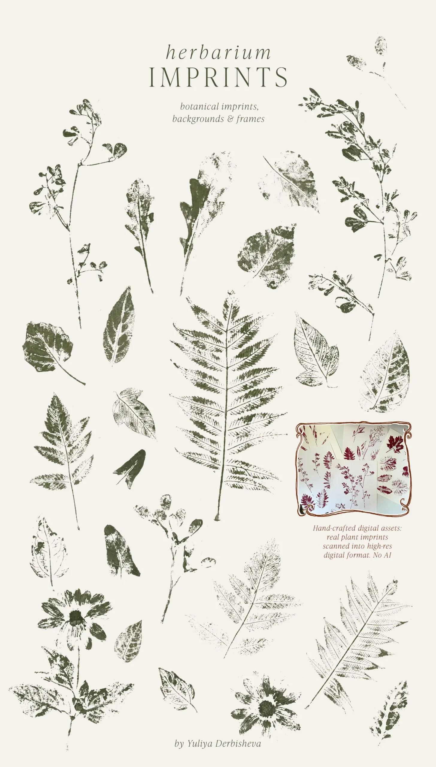 Sheet of pressed botanical imprints including fern, oak leaf, and daisy prints in green