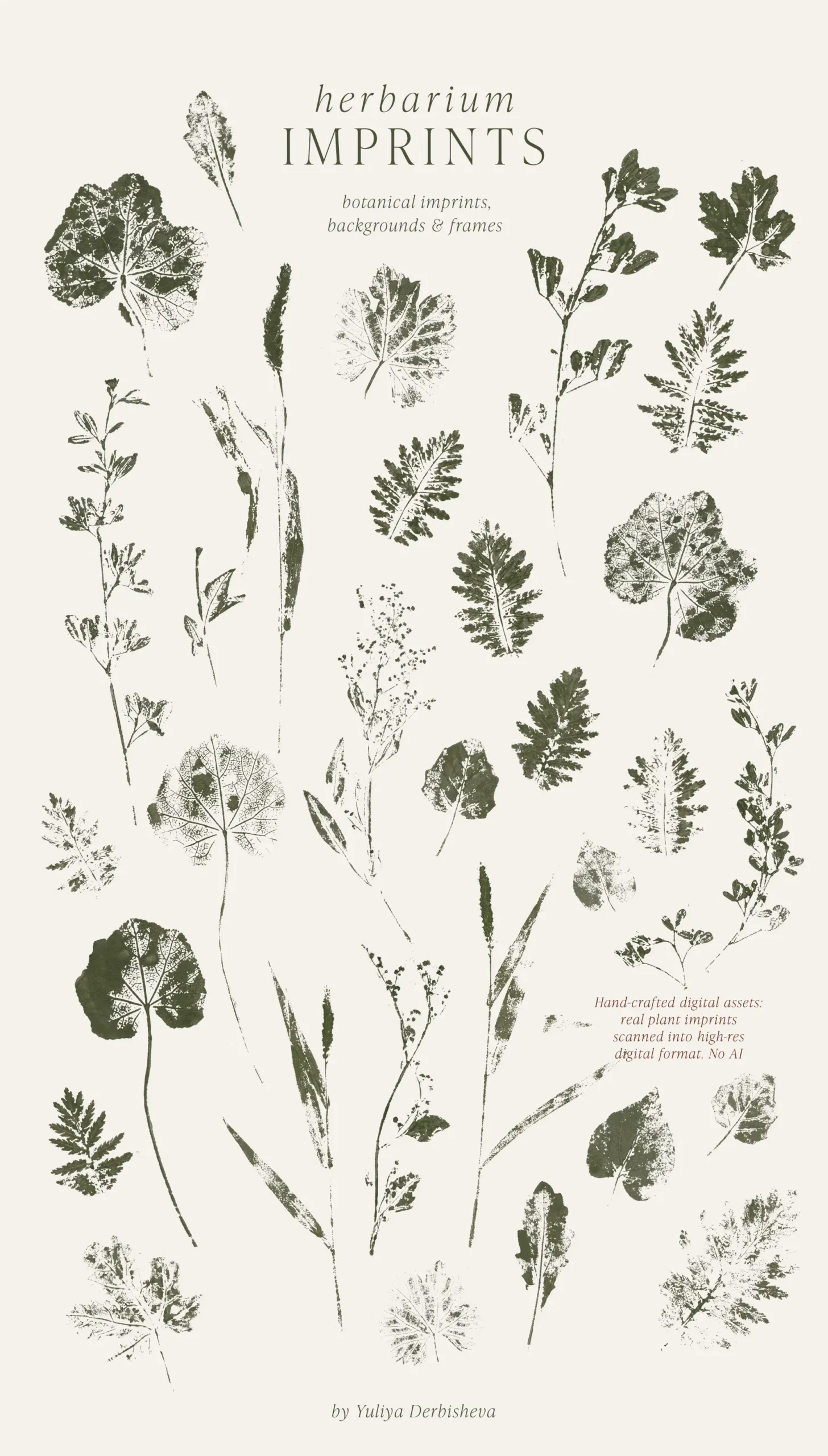 Pressed botanical imprints with fern and wild grass, flowers prints in green