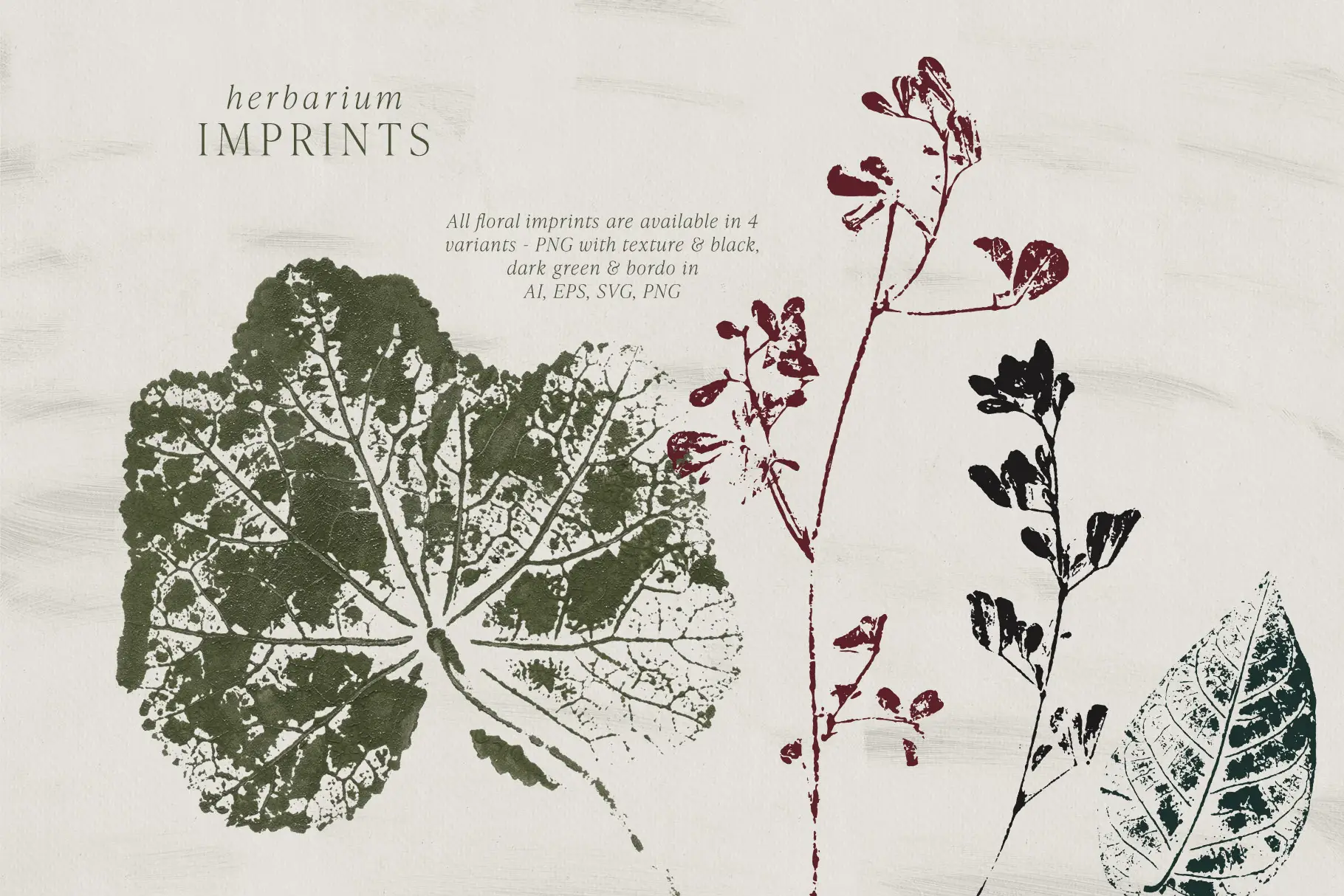 Vector botanical imprints in four colorways — textured, black, deep green, and burgundy