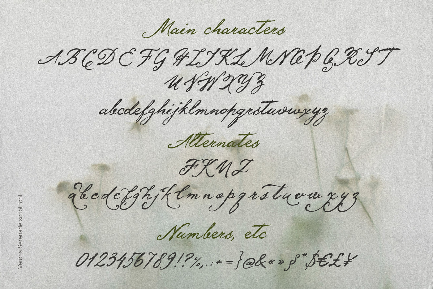 Verona Serenade — vintage calligraphy wedding textured script font with swashes — Fonts, Whimsical — wedding script font, vintage calligraphy font, whimsical script font 10