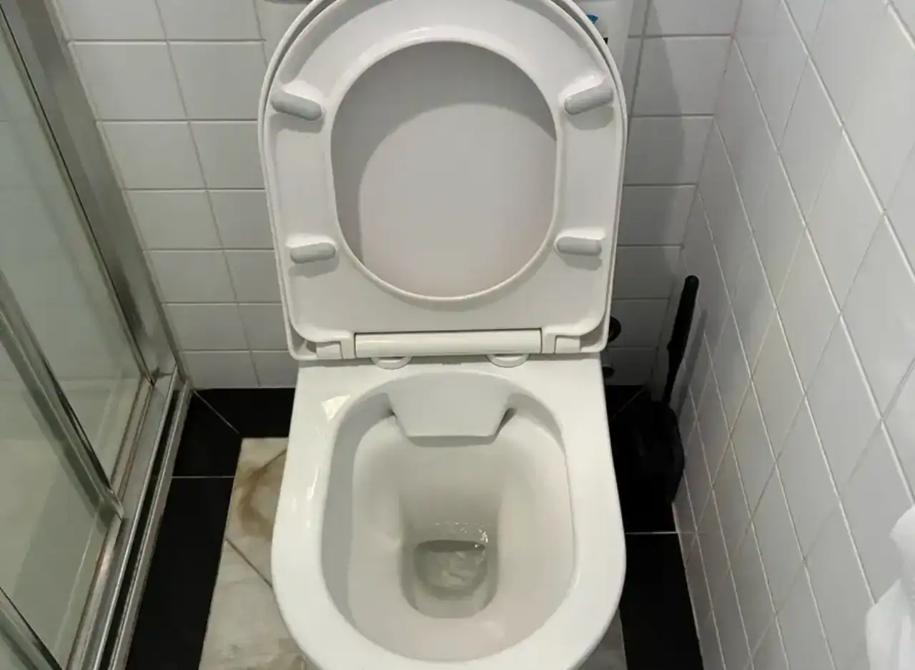 Toilet blockage cleared by Zebra Plumbing in Richmond, ensuring smooth and reliable plumbing service.
