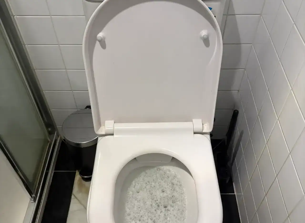 Toilet blockage cleared by Zebra Plumbing in Richmond, ensuring smooth and reliable plumbing service.