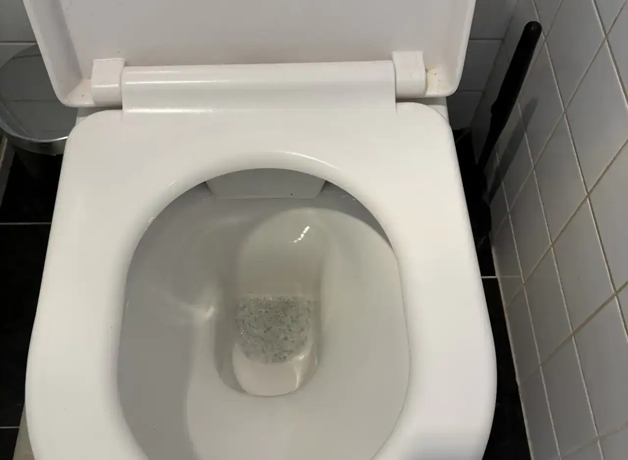 Toilet with cleared blockage, showing clean and functional condition after professional plumbing ser.