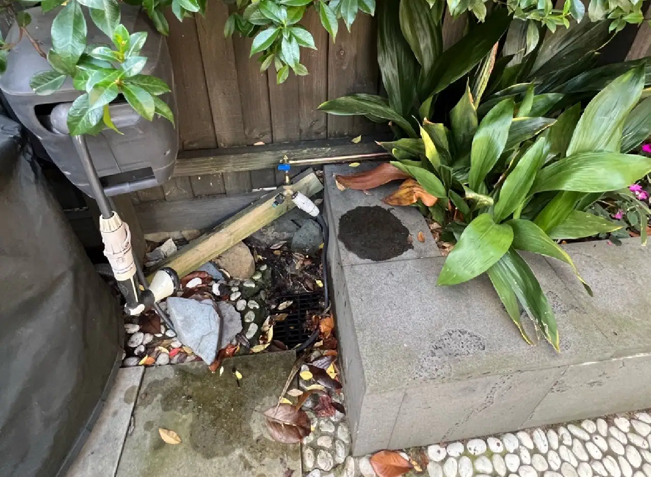 Leaking drainage pipe in garden, requiring plumbing repair services.