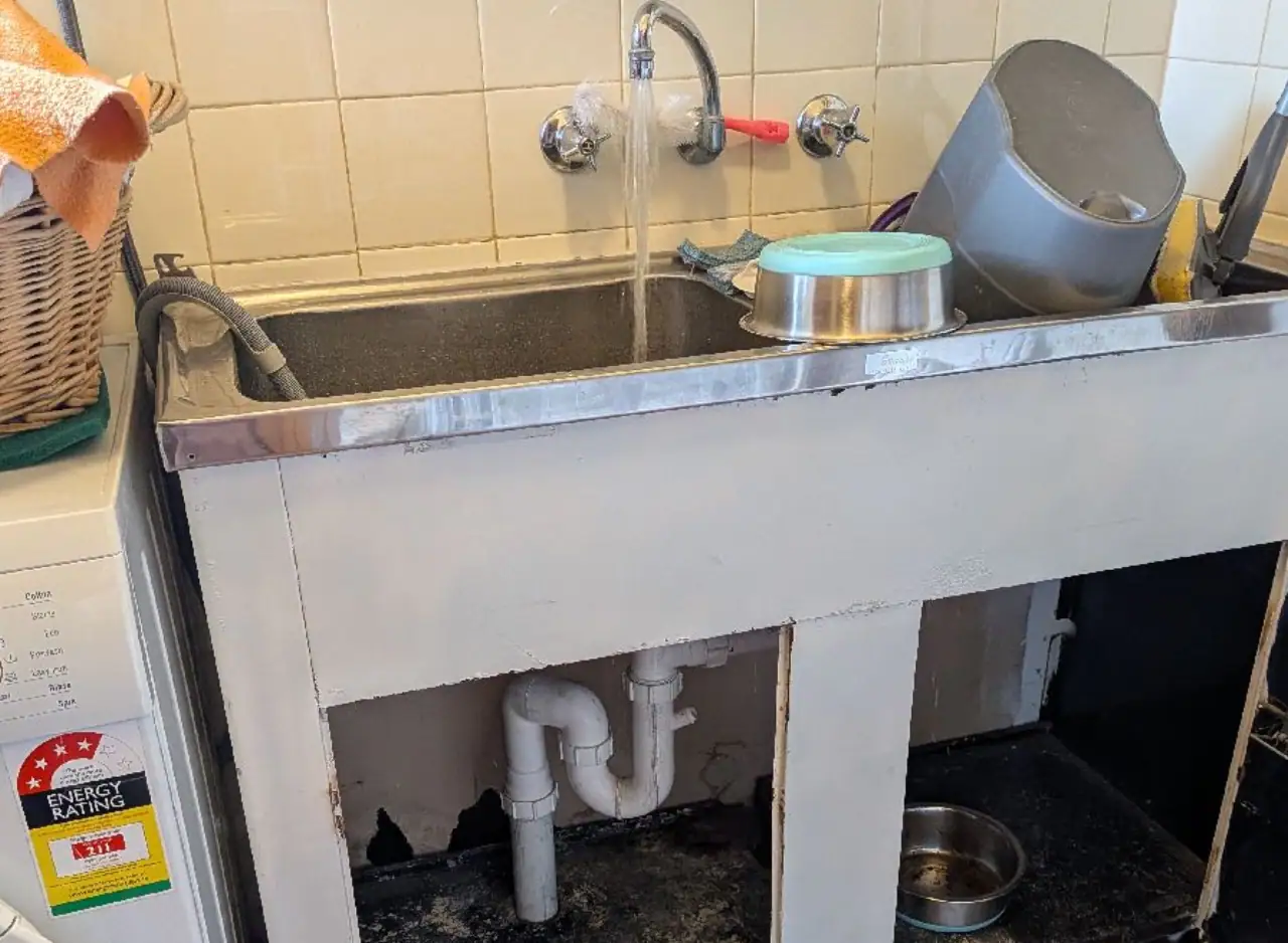 Commercial stainless steel sink with plumbing fixtures and drainage system.