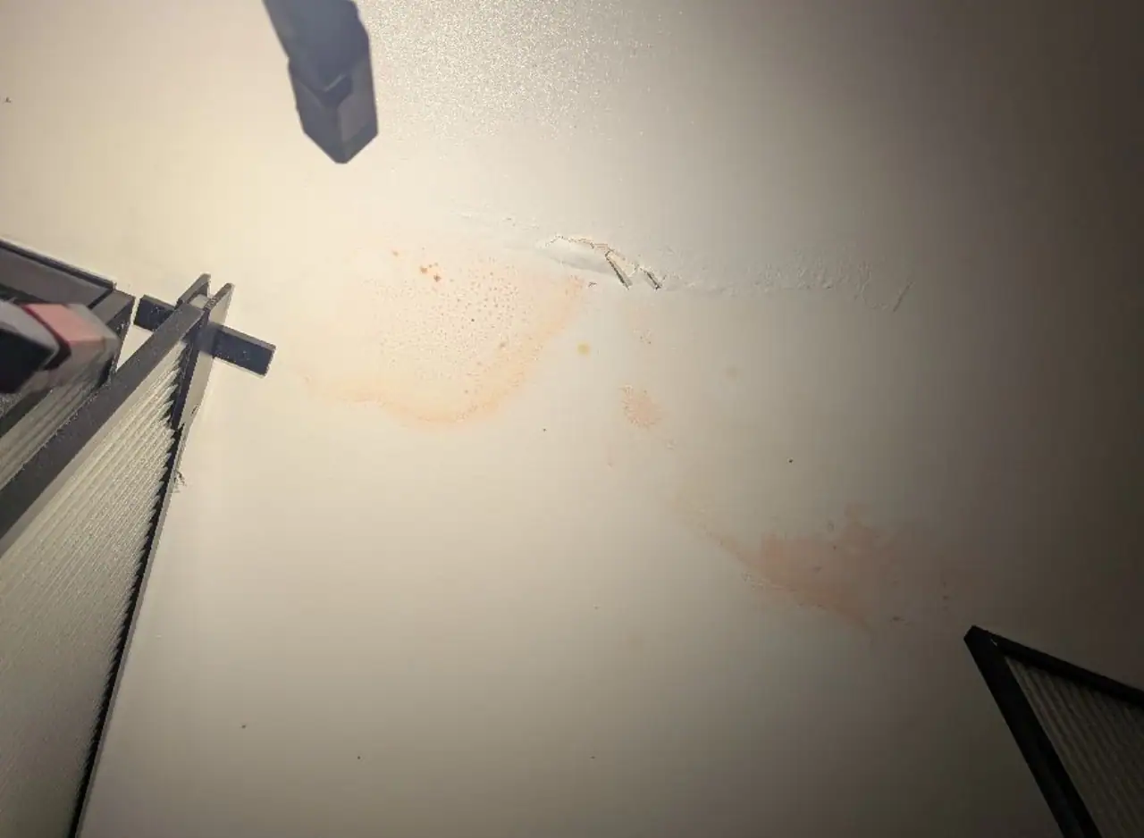 Ceiling moisture damage detected during plumbing inspection in Kew.