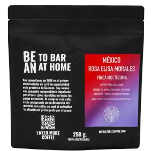 Rosa Elisa Morales