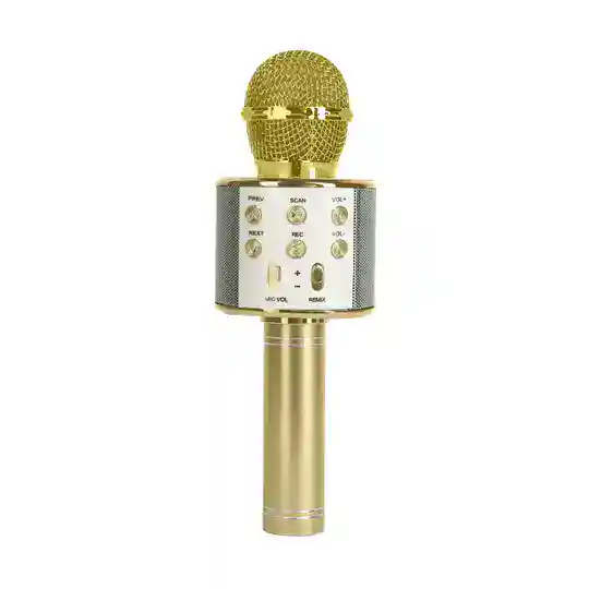 Karaoke microfoon
