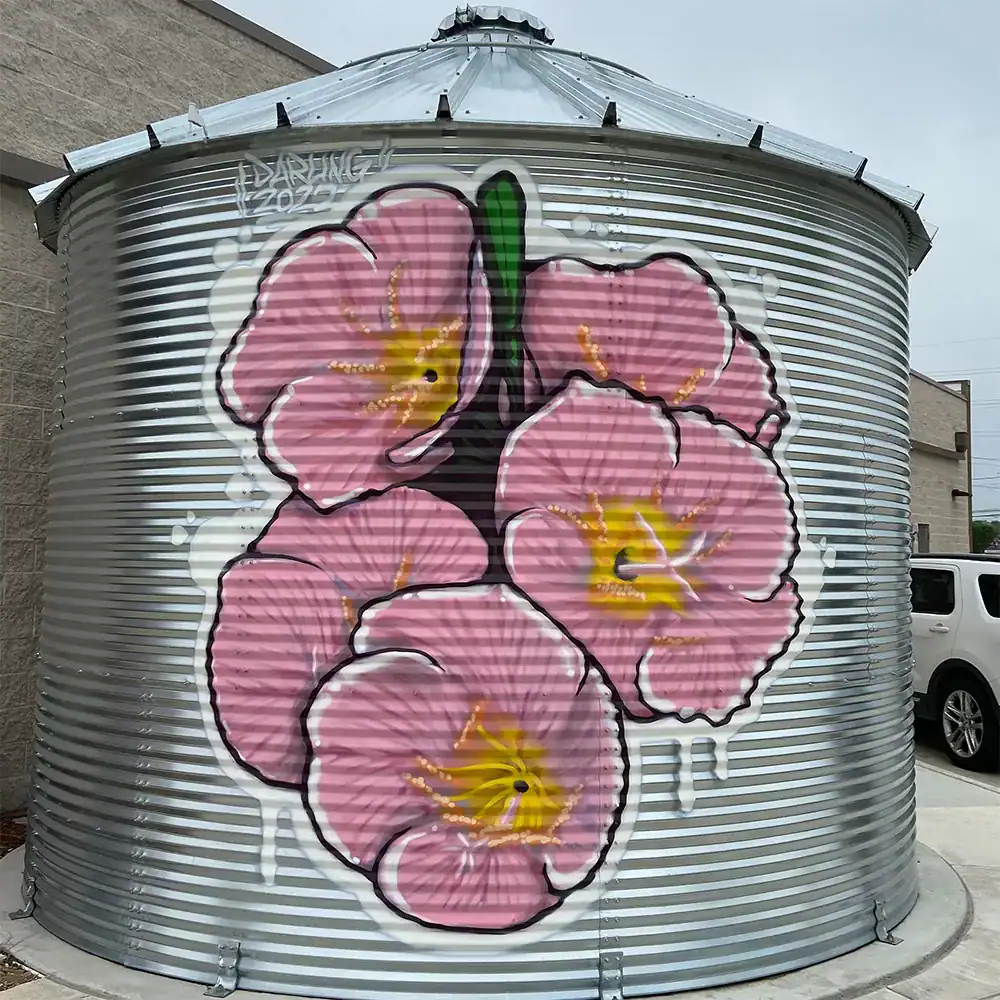 mural by aaron darling | aaron darling mural artist | lago vista tx