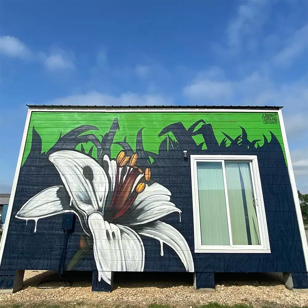 mural by aaron darling | aaron darling mural artist | lago vista tx