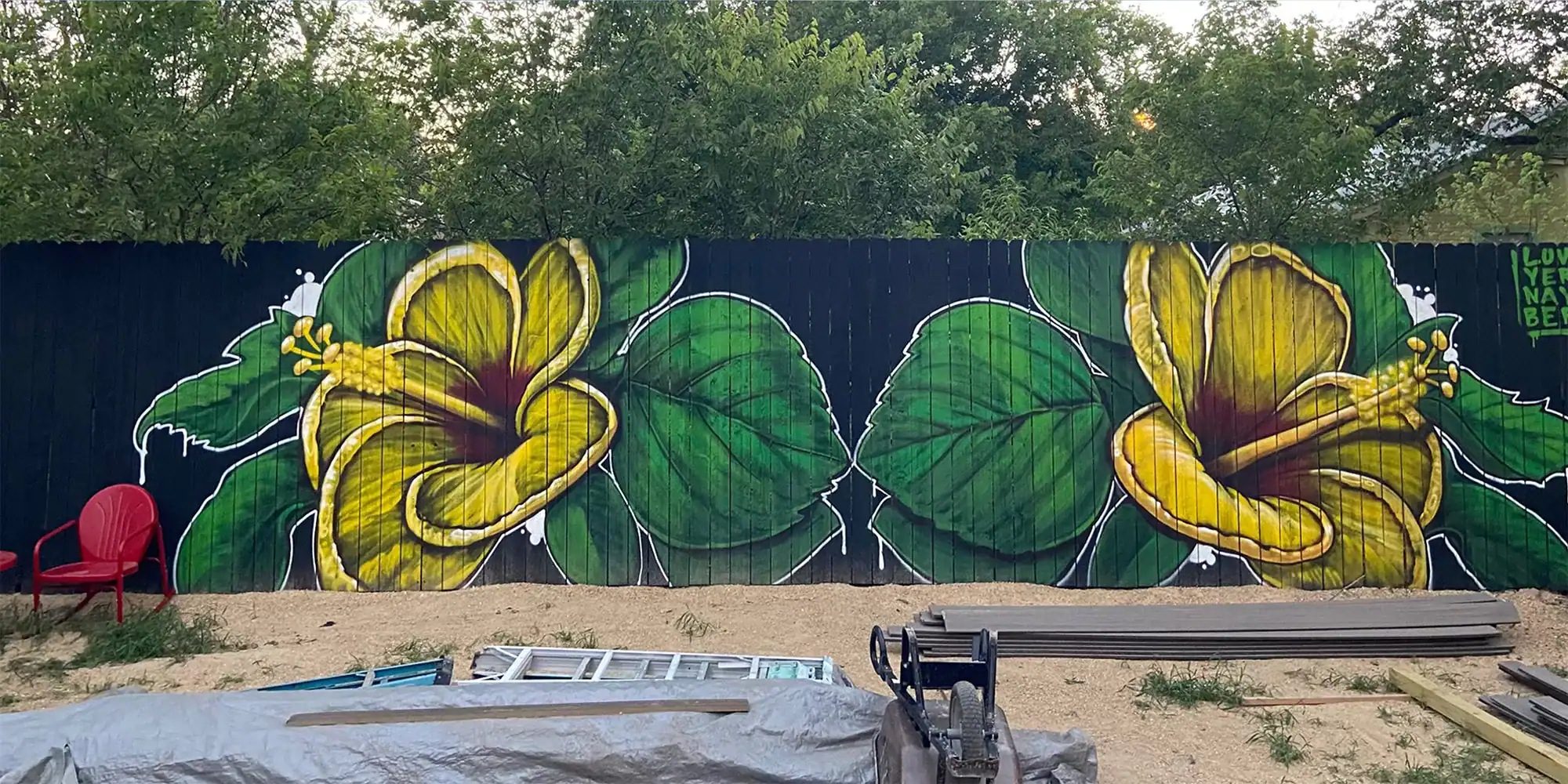 mural by aaron darling | aaron darling mural artist | lago vista tx | mural artist central texas