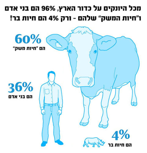 96 אחוז
