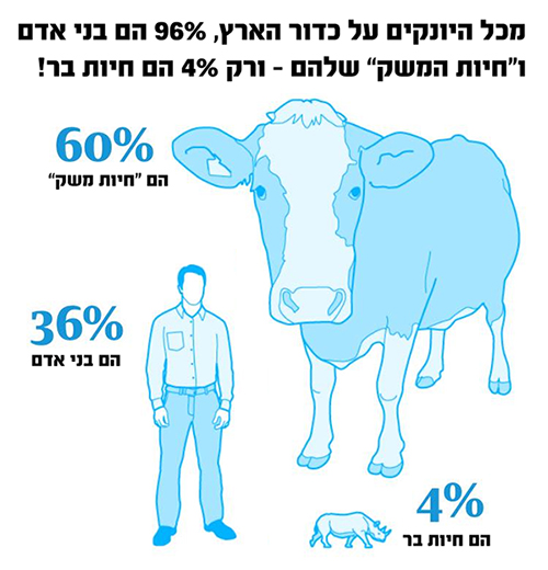 96 אחוז