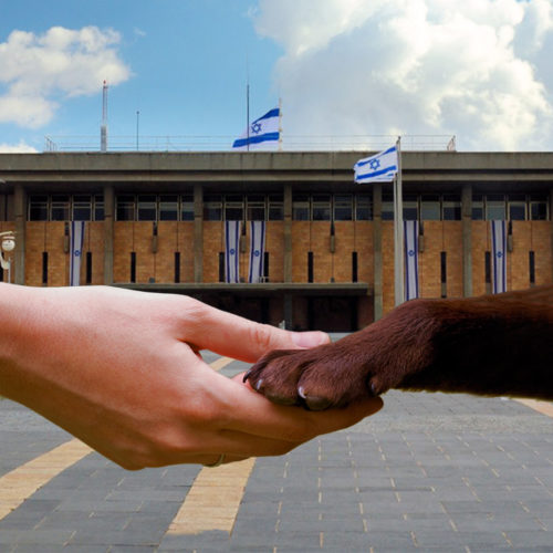 human hand holds a dog hand with the Knesset in the background