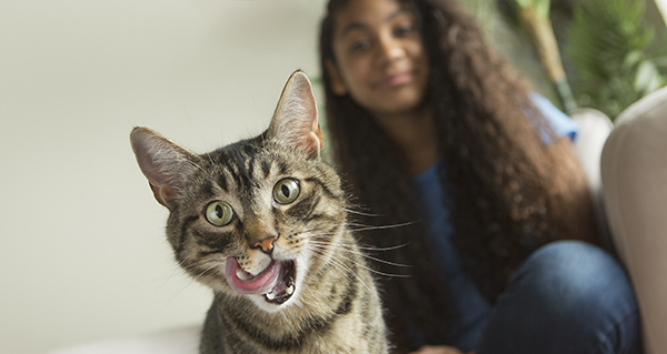 A girl sitting on a sofa with a pet cat. ,Girl and Cat