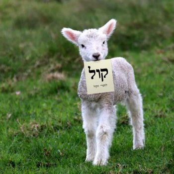 בחירות 2019 קול לחסרי הקול