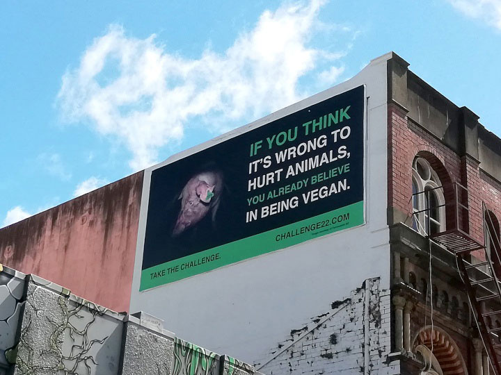 challenge-22-sign-in-new-zealand