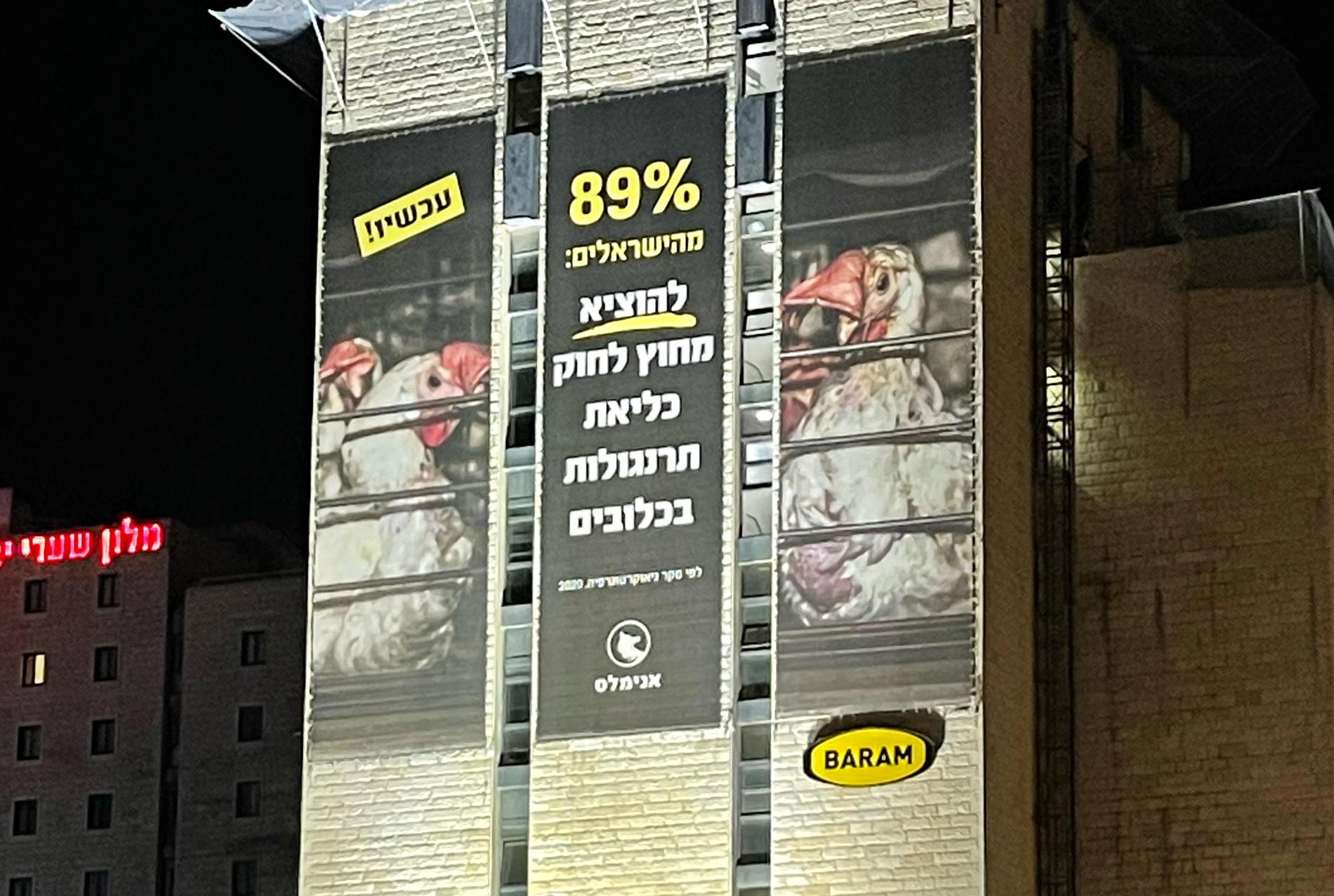 שלט חוצות נגד כליאת תרנגולות בכניסה לירושלים מצולם בלילה