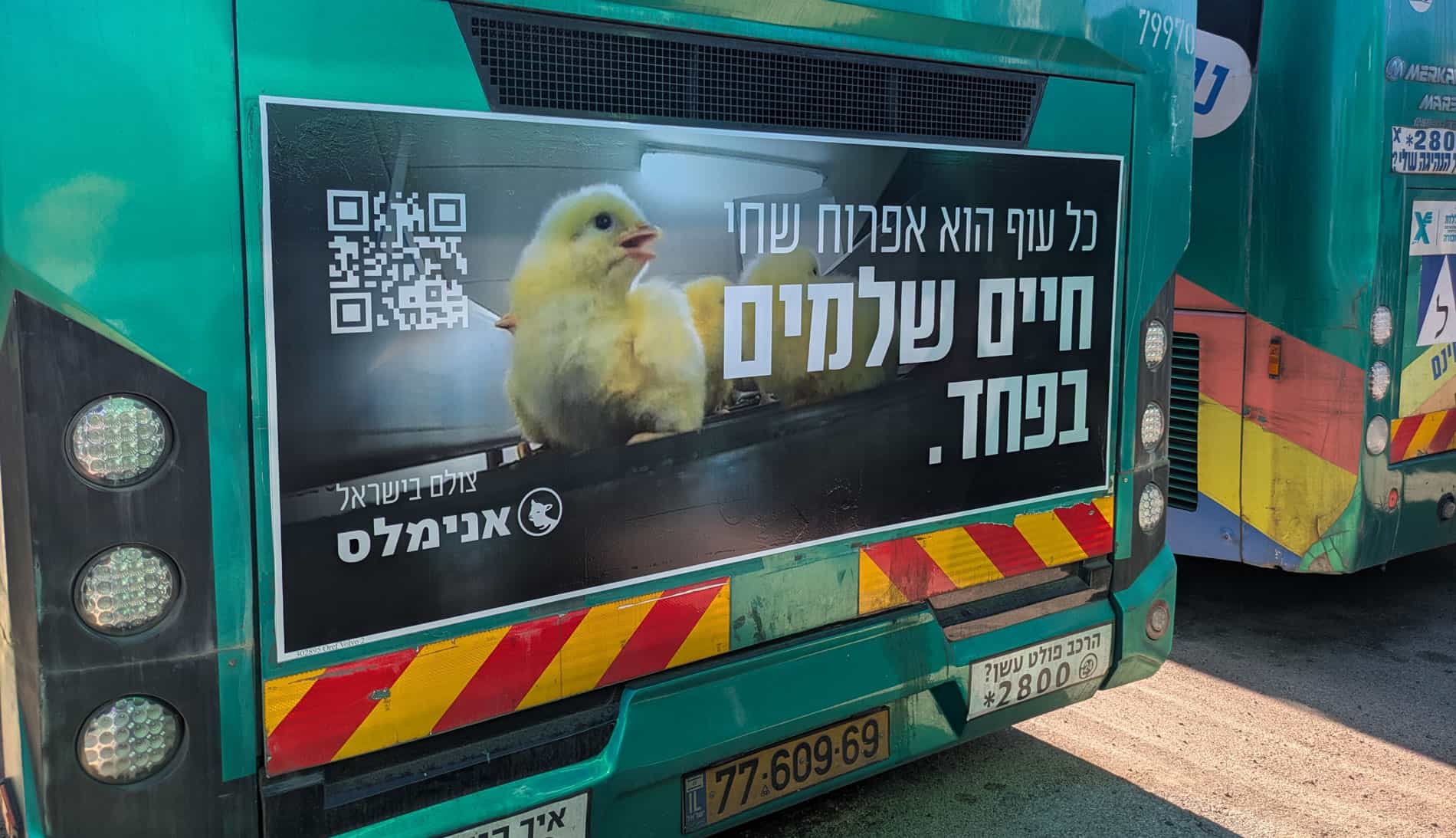 כרזה של מאבק האפרוחים על גבי אוטובוס